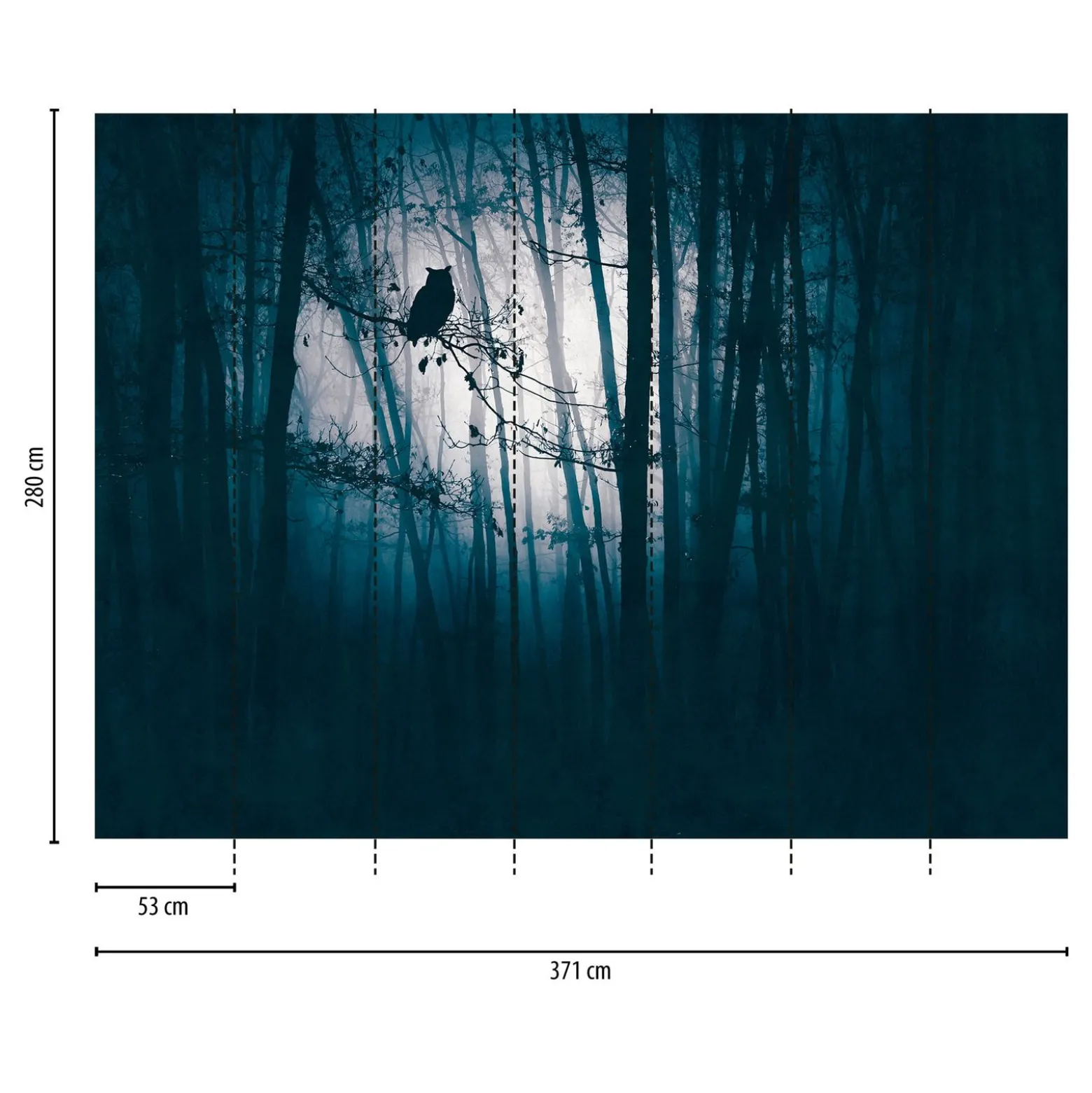Fototapete Wald Eule Nacht Blau Schwarz 39909-1