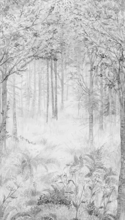 Fototapete Wald Natur Nebel Baum Grau Weiß ML2802