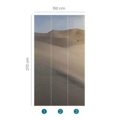 Fototapete Wüste Dünen Himmel Beige Blau 2533N-81