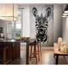 Fototapete Zebra Exotisch Grau Schwarz 2516N-81