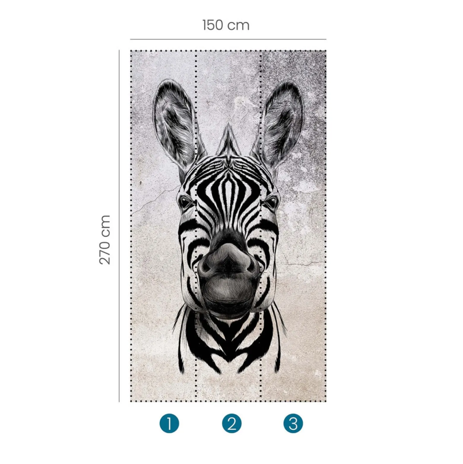 Fototapete Zebra Exotisch Grau Schwarz 2516N-81