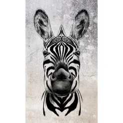 Fototapete Zebra Exotisch Grau Schwarz 2516N-81