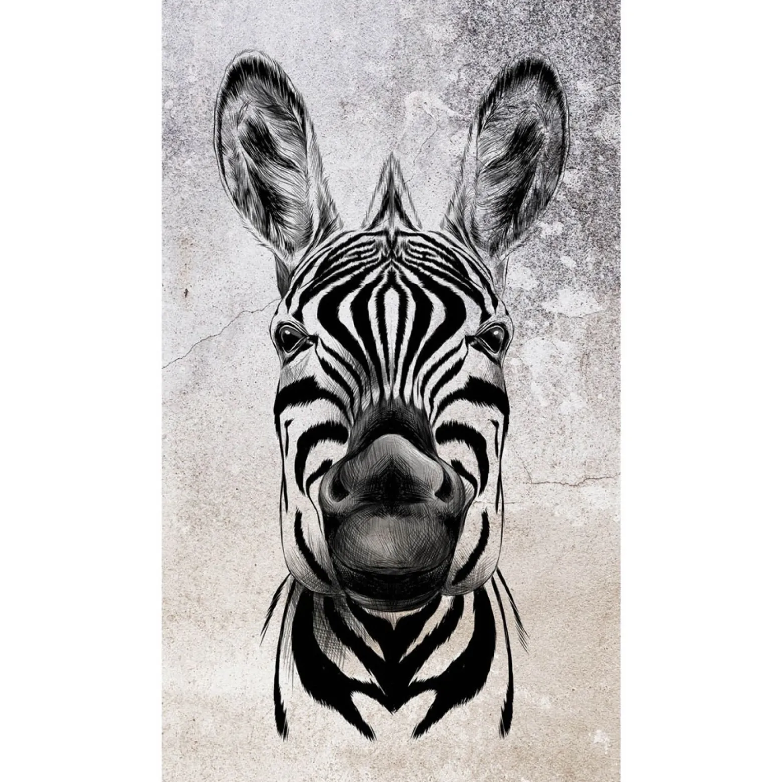 Fototapete Zebra Exotisch Grau Schwarz 2516N-81