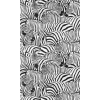 Fototapete Zebra Exotisch Schwarz Weiß 39873-1