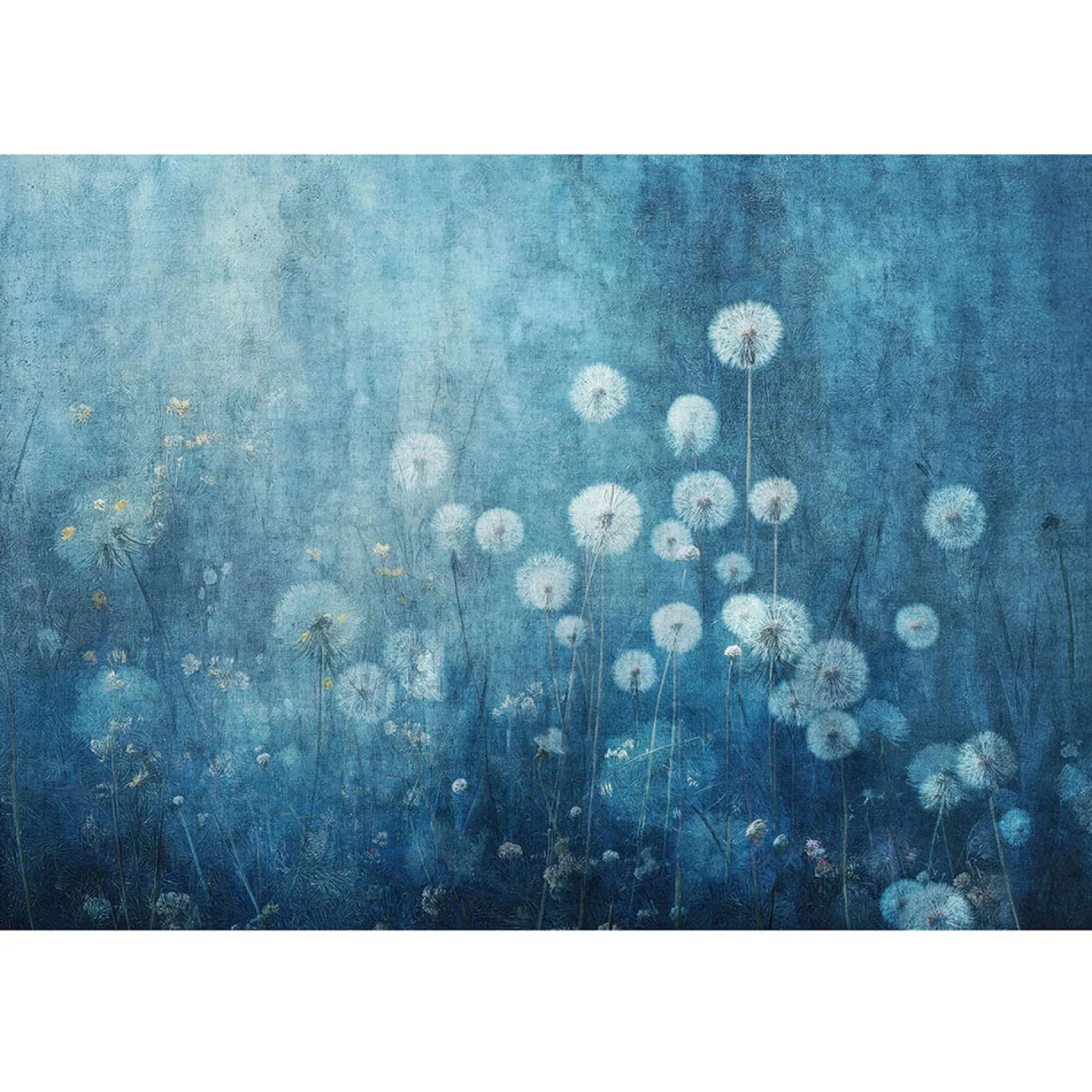Guido Maria Kretschmer Fototapete Blumen Blau Weiß