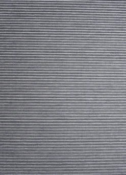 Homing Flächenvorhang Manhattan silber 5802-31