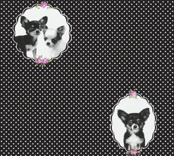 Kindertapete Chihuahua Hund schwarz weiß 35851-2