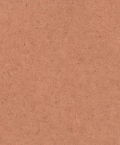 Rasch Concrete Tapete Betonoptik Terra 520880