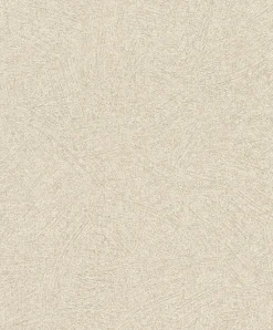 Rasch Concrete Tapete Wischoptik Beige 520248