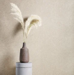 Rasch Concrete Tapete Wischoptik Beige 520248