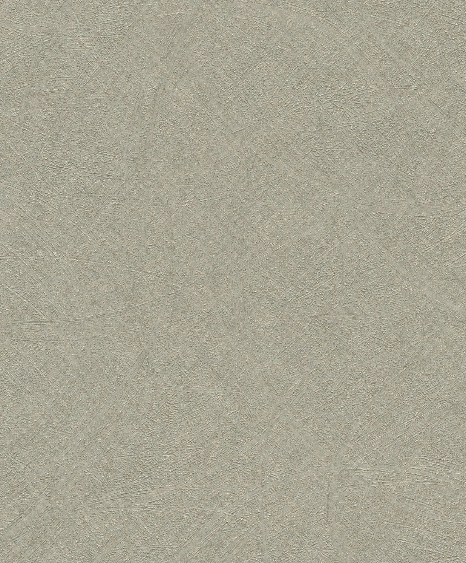 Rasch Concrete Tapete Wischoptik Grüngrau 520279
