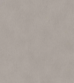 Rasch Vliestapete Felloptik Uni Hellgrau 751062