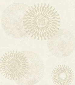 Rasch Vliestapete Kreise Putzoptik Beige Gold 651720