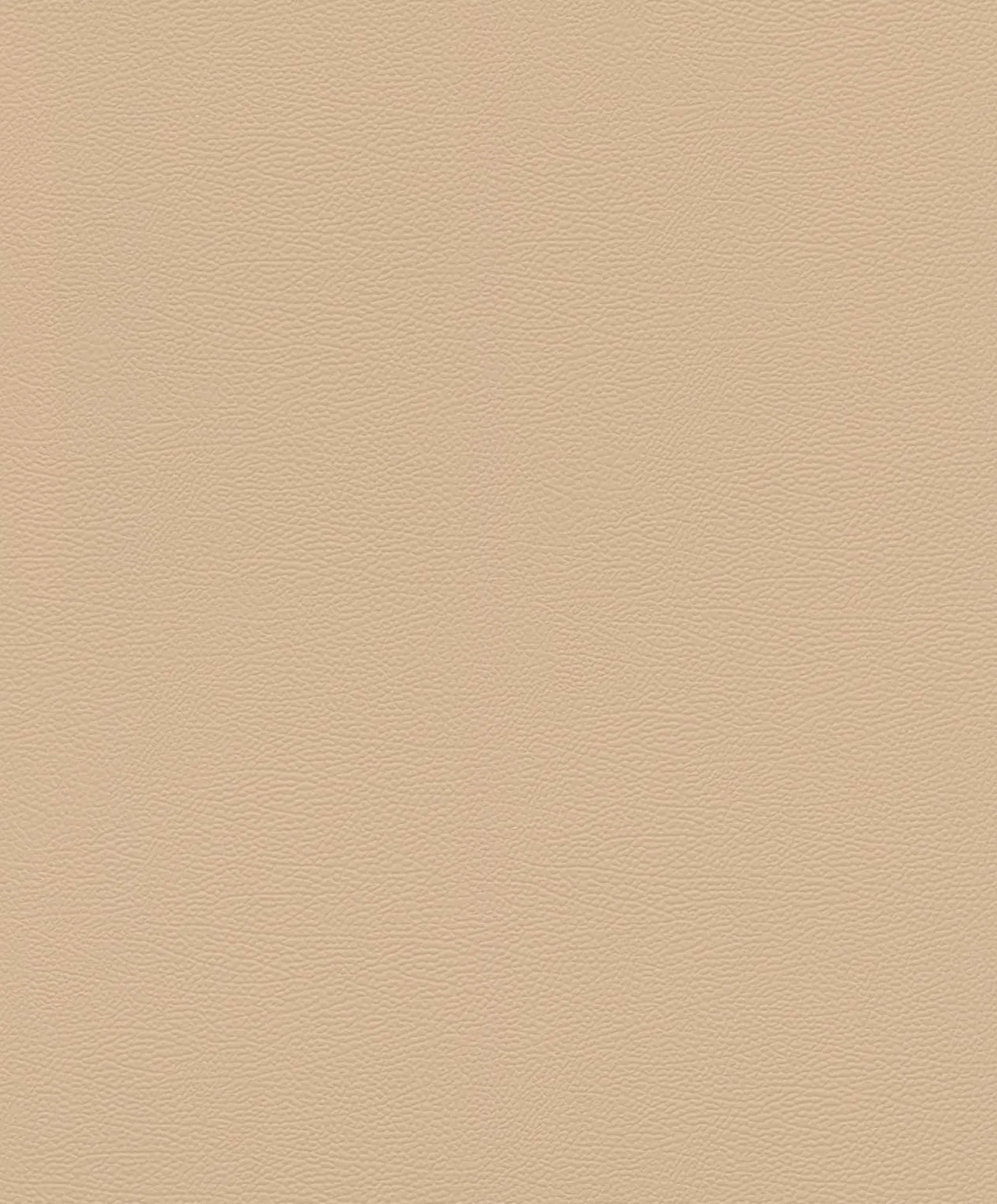 Rasch Vliestapete Uni Leder Optik Beige 752694