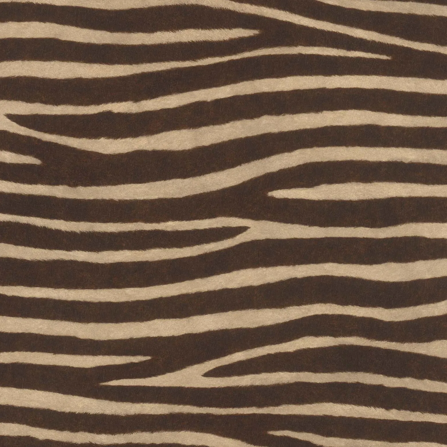 Rasch Vliestapete Zebra Streifen Beige Braun 751741