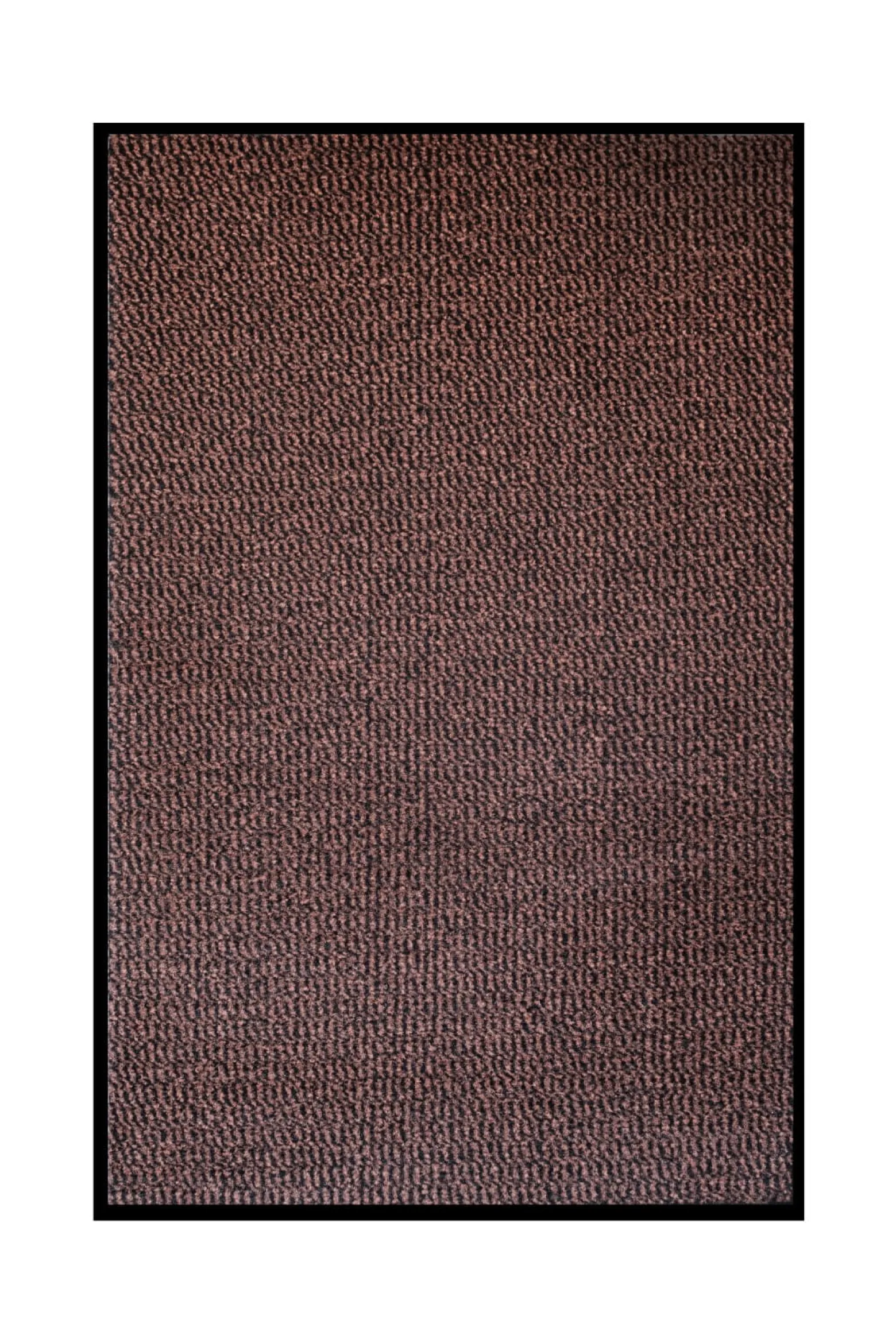 Schmutzfangmatte Basic Clean versch. Farben Größen