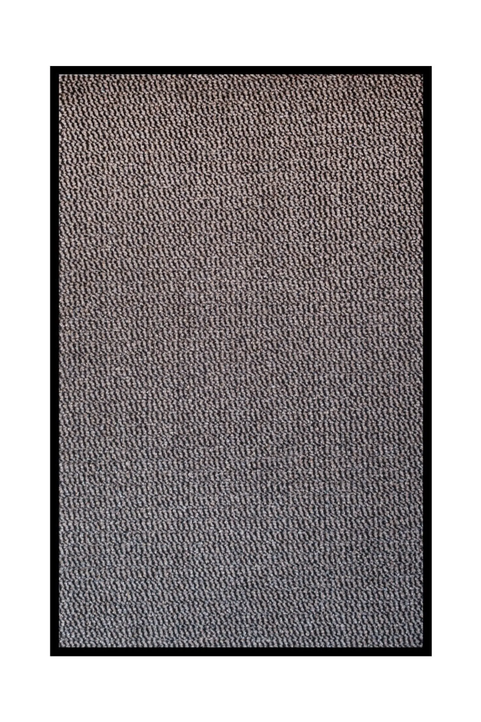 Schmutzfangmatte Basic Clean versch. Farben Größen
