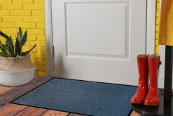 Schmutzfangmatte Basic Clean versch. Farben Größen