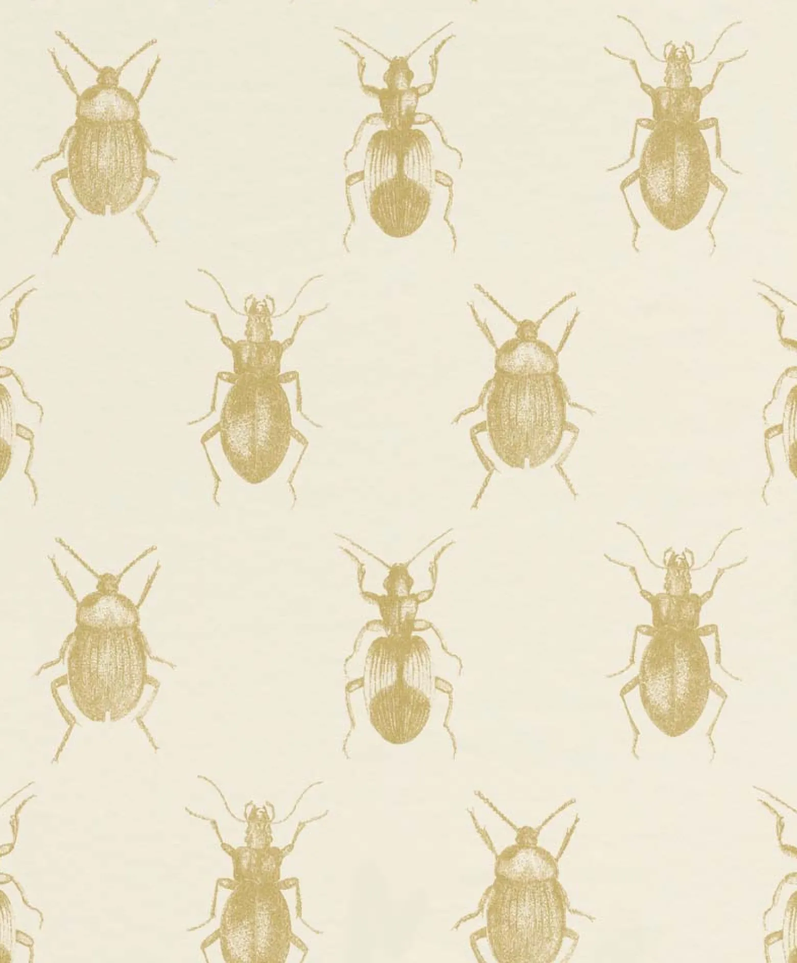 Tapete Käfer Insekt weiß gold Glanz Rasch Textil 289502