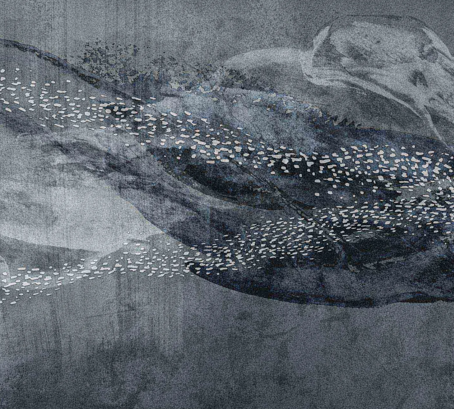 Tapete Unterwasser Wal Guido Maria Kretschmer silber