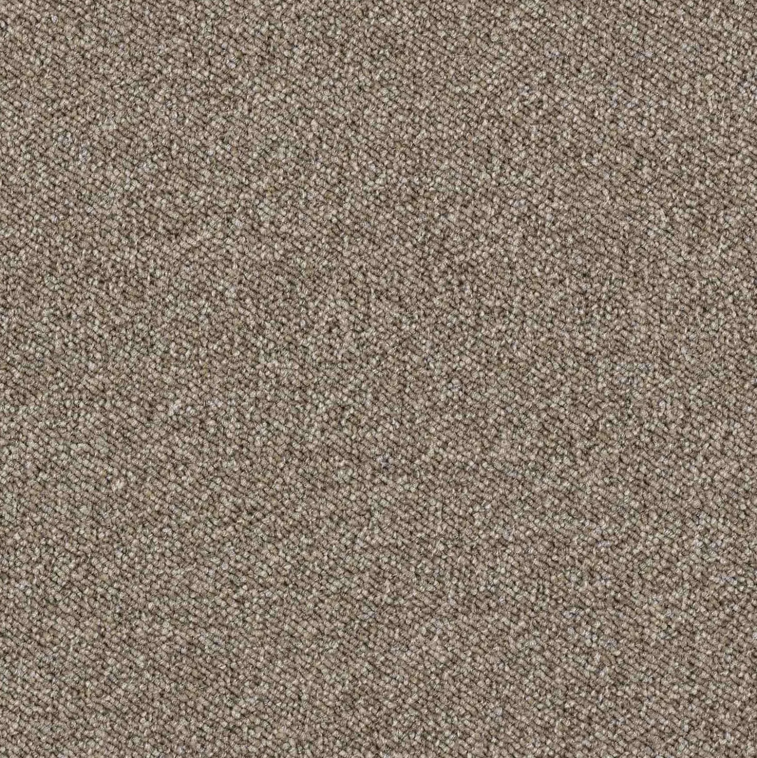 Teppichfliese Maxima Gewerbe 50 x 50 cm Teppichboden