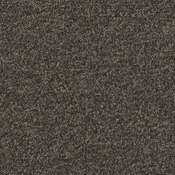Teppichfliese Maxima Gewerbe 50 x 50 cm Teppichboden