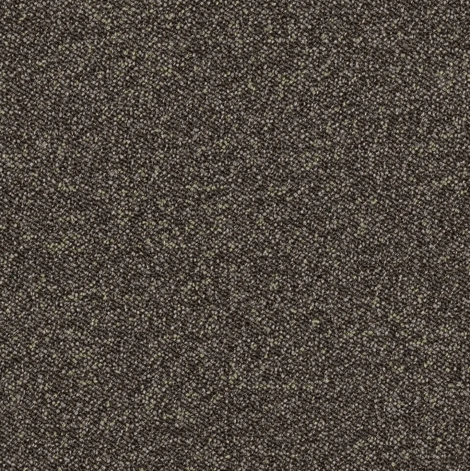 Teppichfliese Maxima Gewerbe 50 x 50 cm Teppichboden