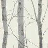Vliestapete Birke Baum weiß grau Instawalls 5433-47
