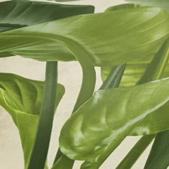 Vliestapete Blätter Floral grün creme 37862-3