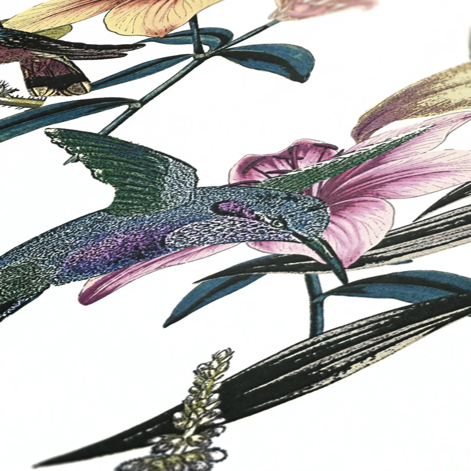 Vliestapete Blumen Kolibri Floral weiß bunt 37701-1