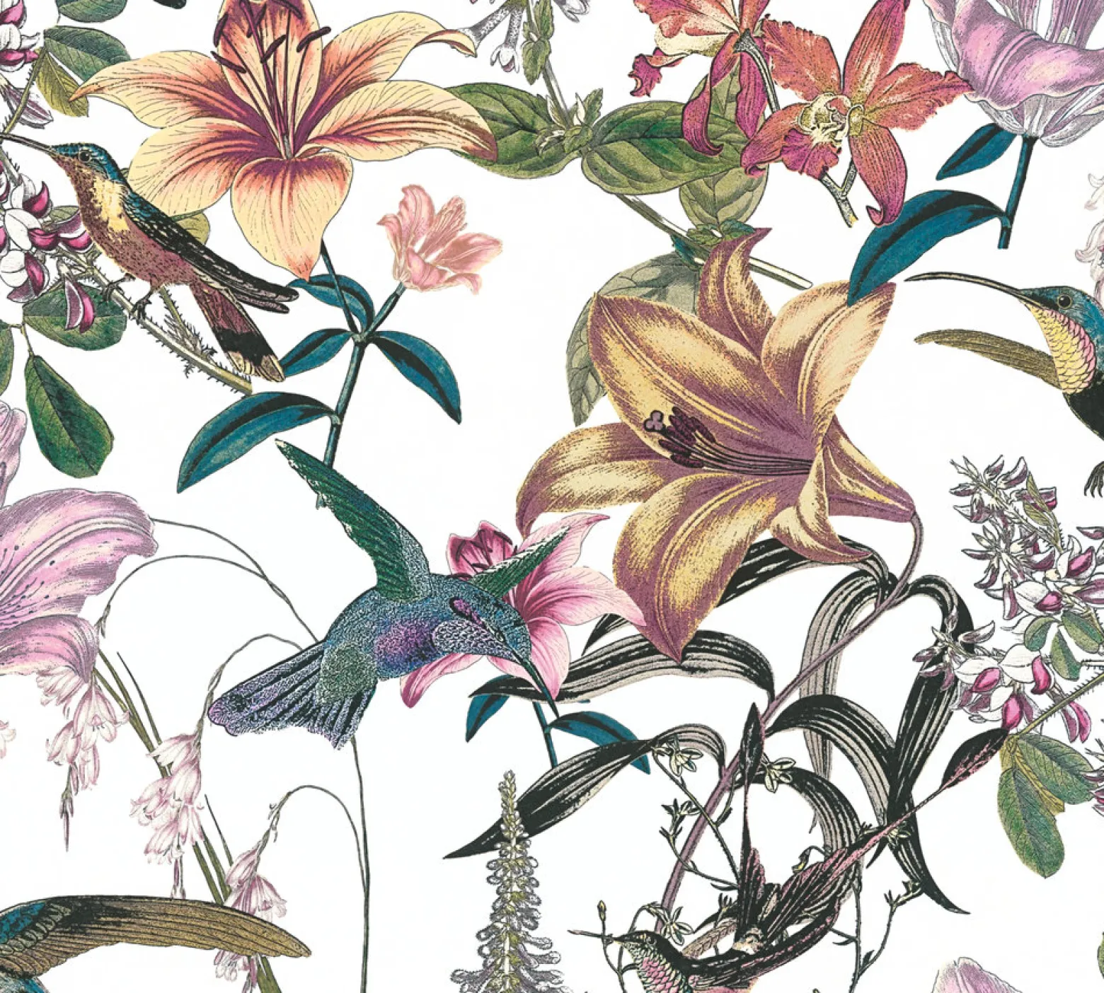 Vliestapete Blumen Kolibri Floral weiß bunt 37701-1