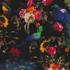 Vliestapete Blumen Vogel schwarz bunt Instawalls 6371-15