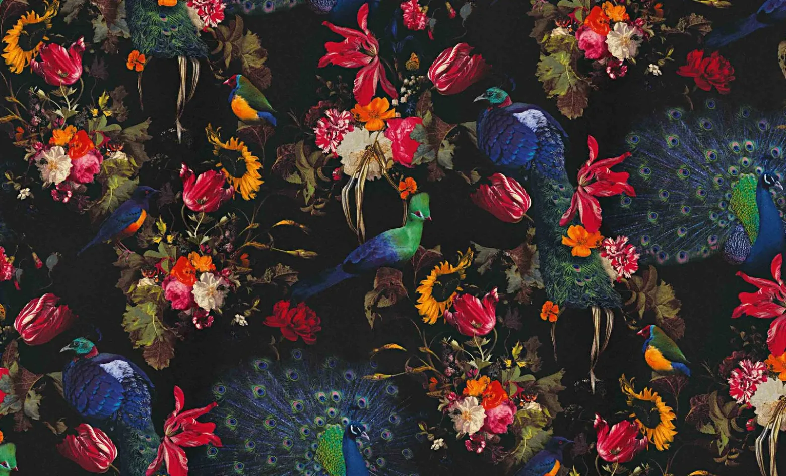 Vliestapete Blumen Vogel schwarz bunt Instawalls 6371-15