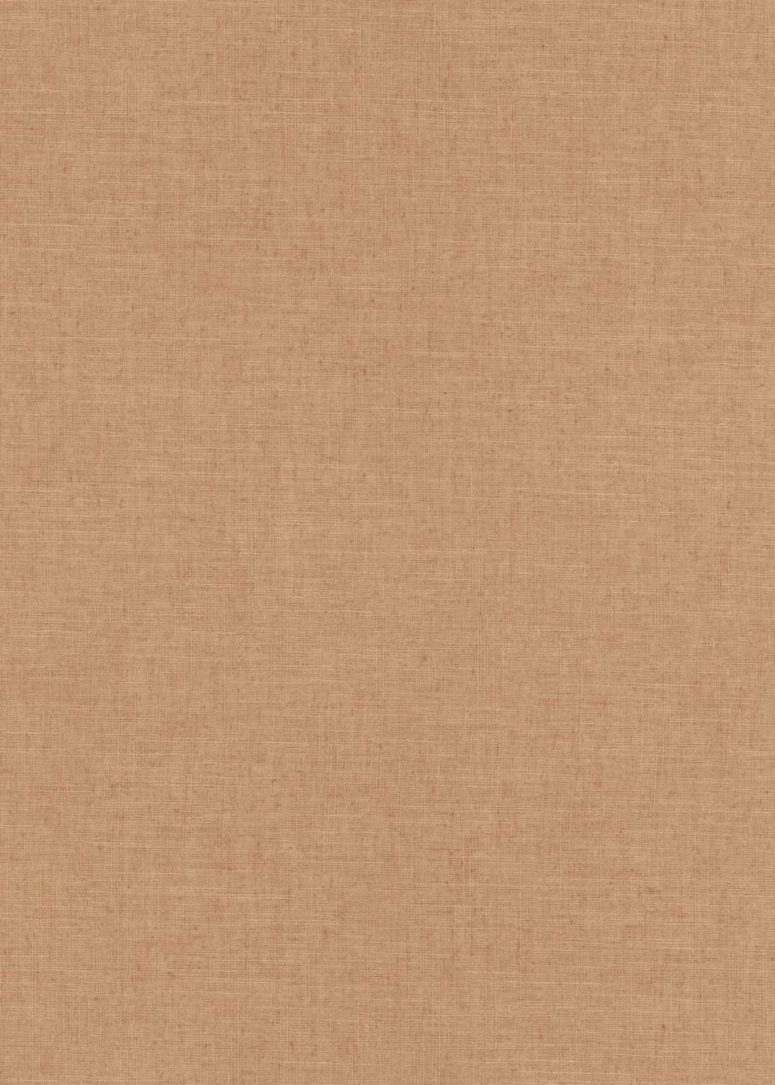 Vliestapete Braun Uni 10262-11 Casual Chic Erismann