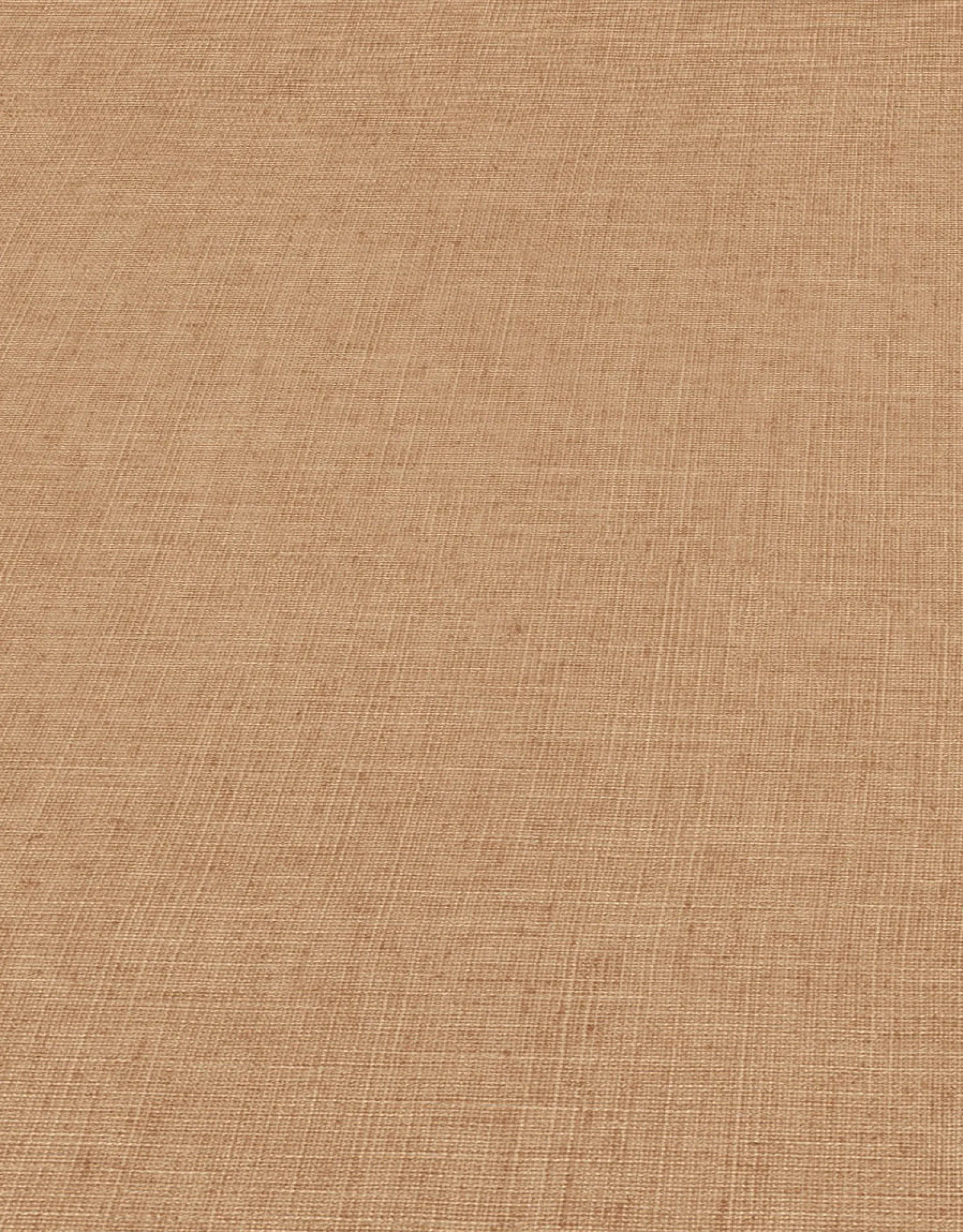 Vliestapete Braun Uni 10262-11 Casual Chic Erismann