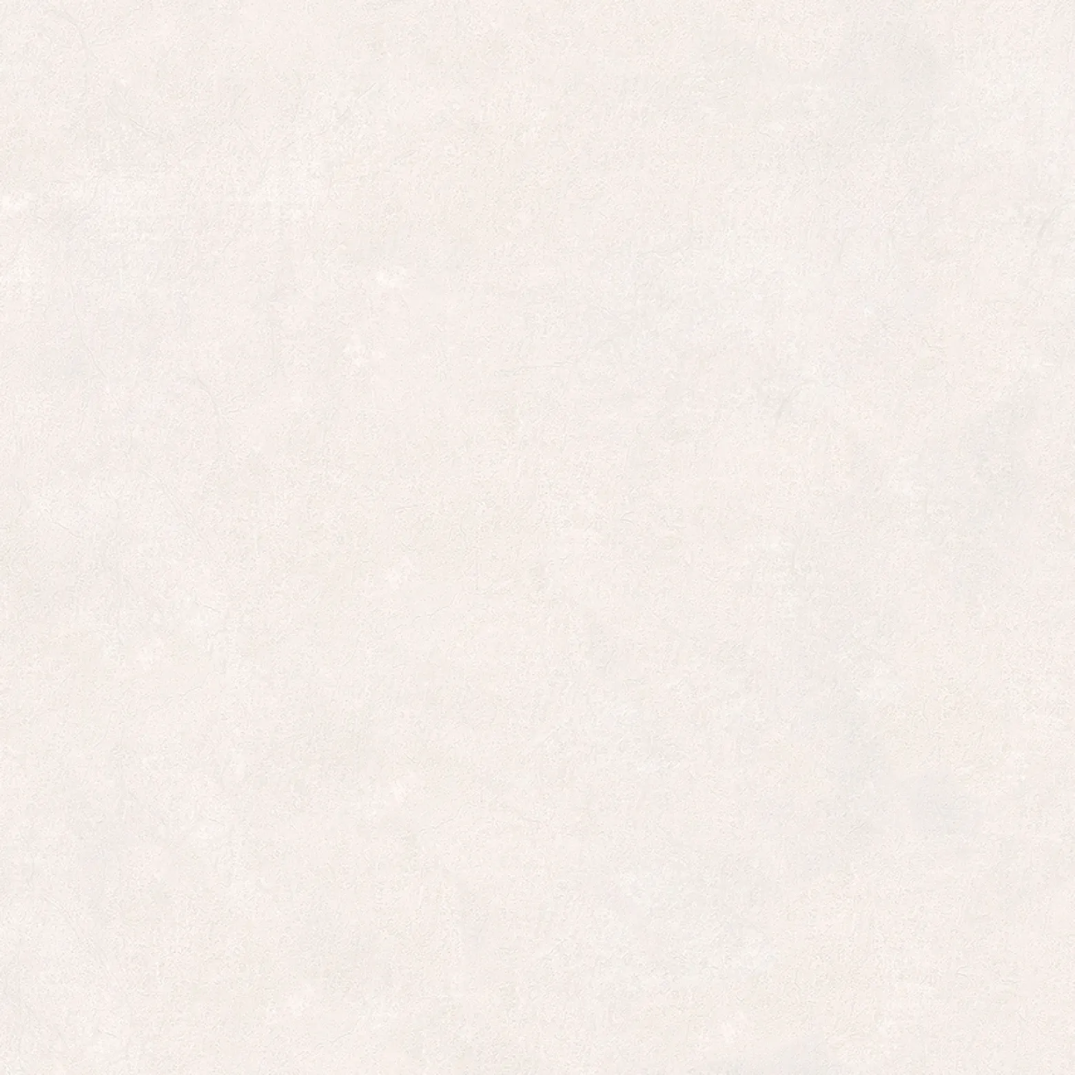 Vliestapete Dieter Langer Putz Struktur creme-grau 58839