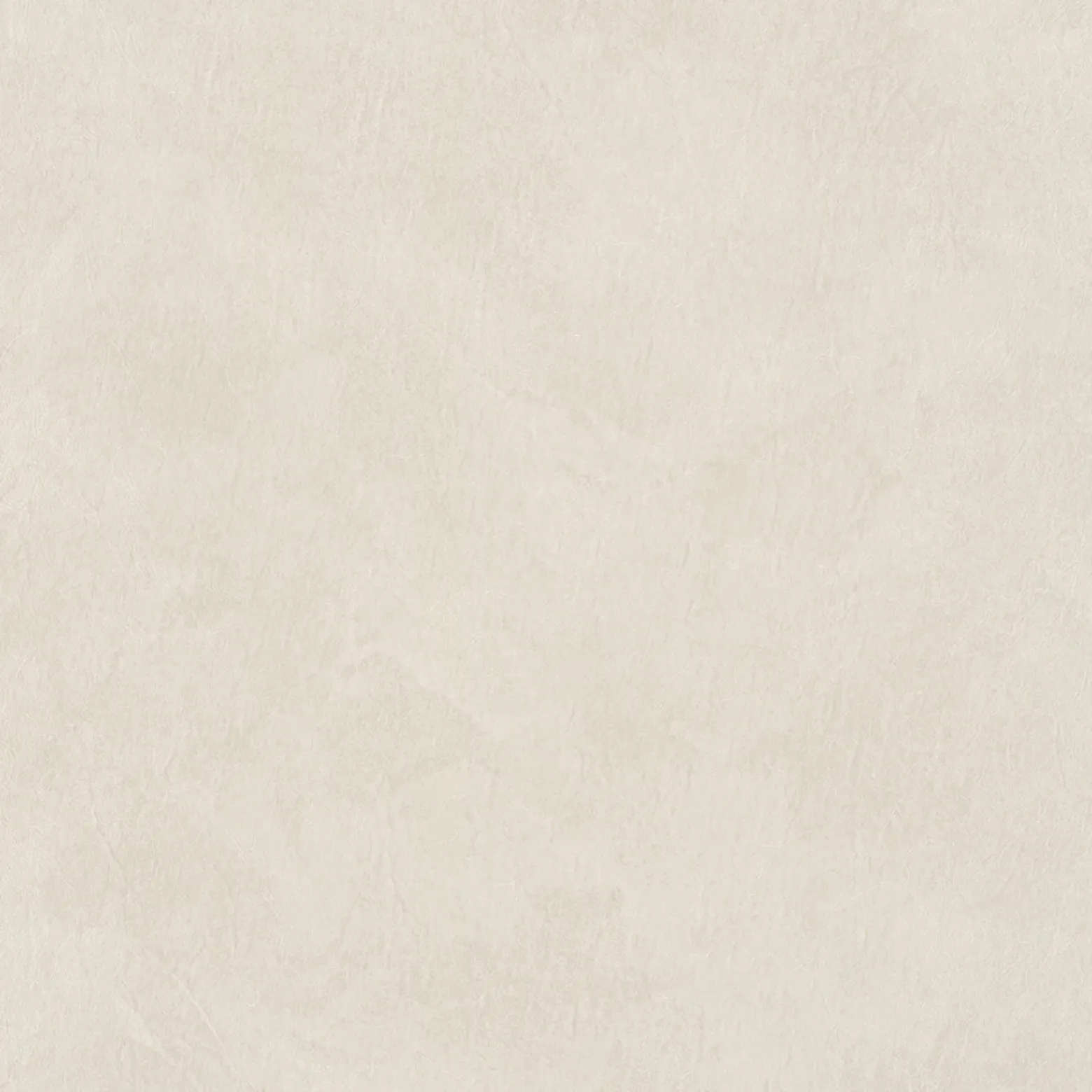 Vliestapete Dieter Langer Putz Struktur beige-creme 58818