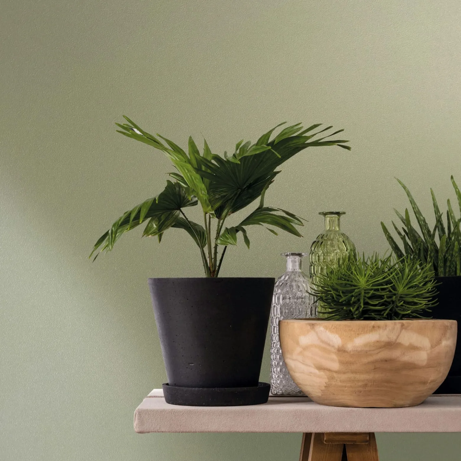 Vliestapete Einfarbig Struktur Modern Grün 82520
