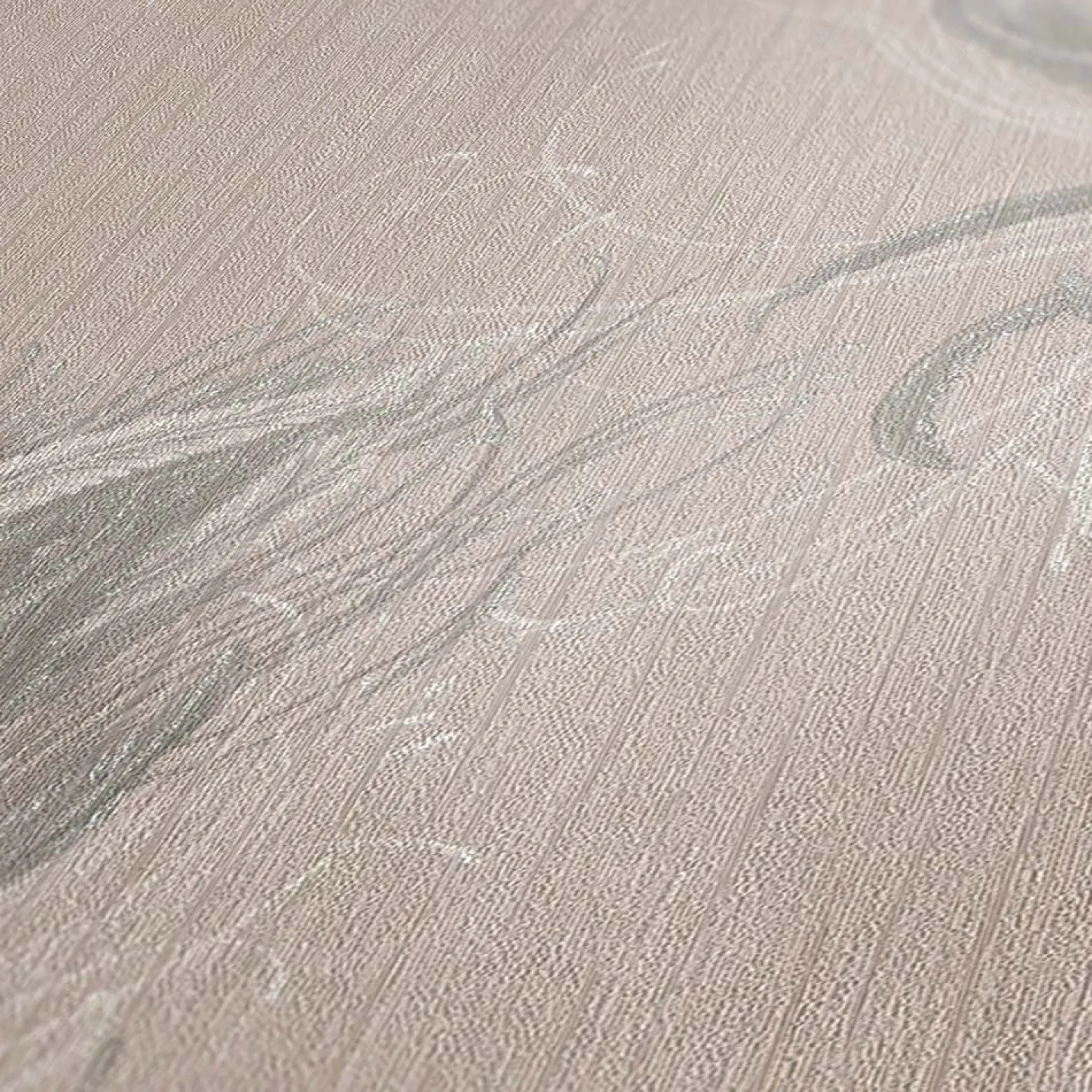 Vliestapete Federn Natur beige grau Mata Hari 38009-2