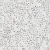 Vliestapete Floral Blätter Grau Silber Metallic 39747-4