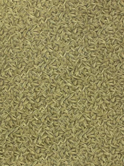 Vliestapete Glööckler Blätter Federn gold Metallic 52504