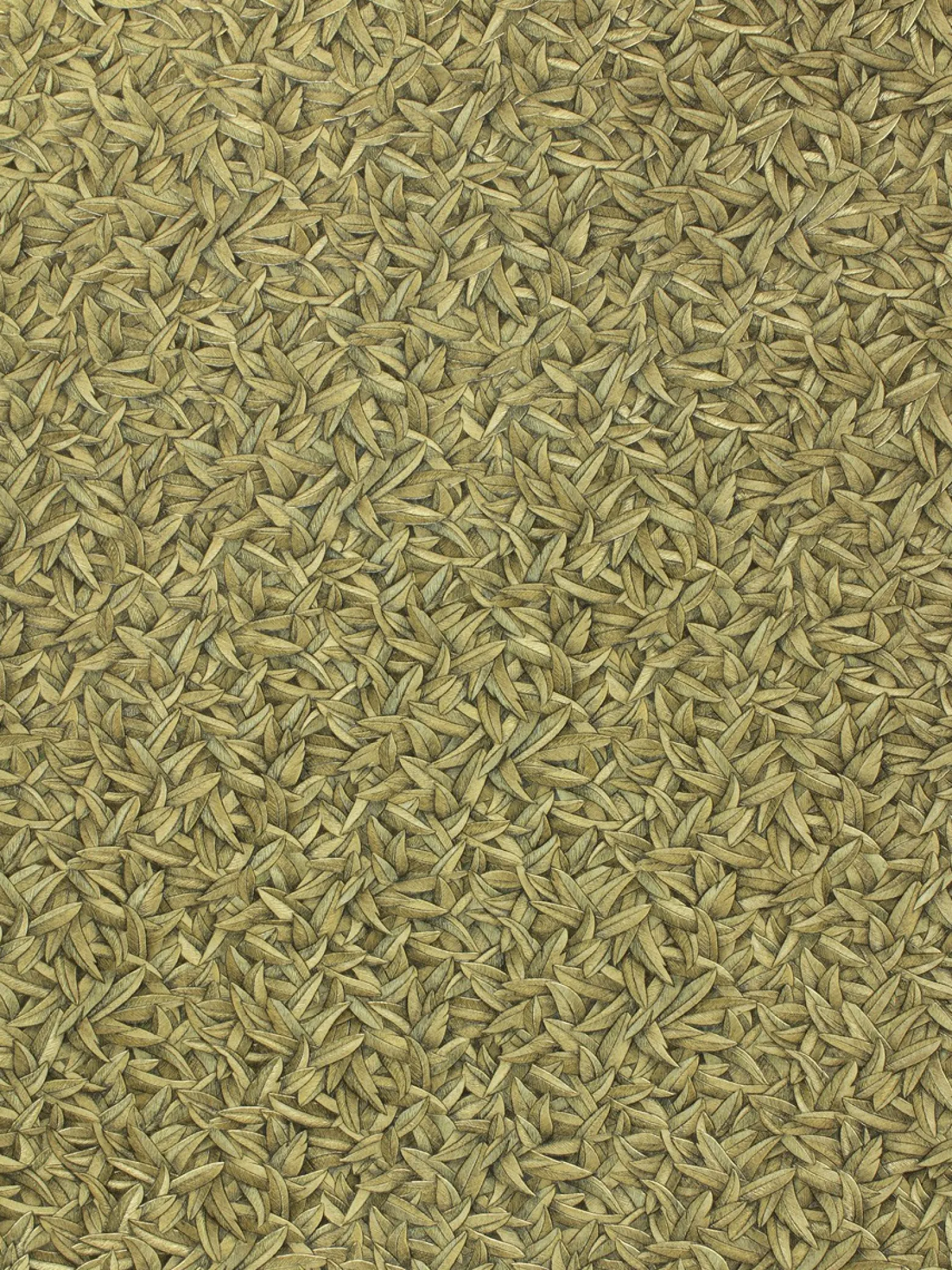Vliestapete Glööckler Blätter Federn gold Metallic 52504