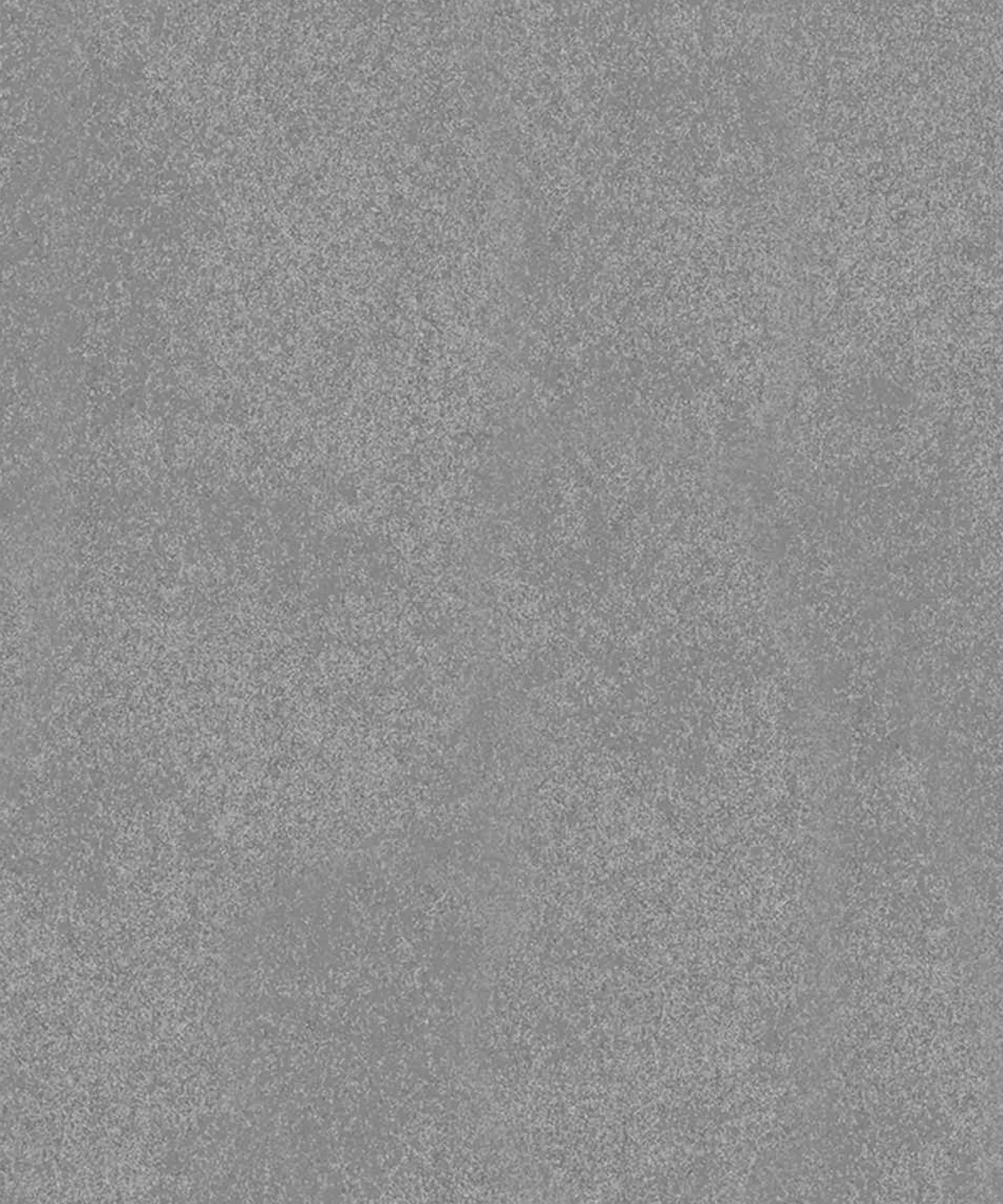 Vliestapete grau silber Metallic La Veneziana 57917