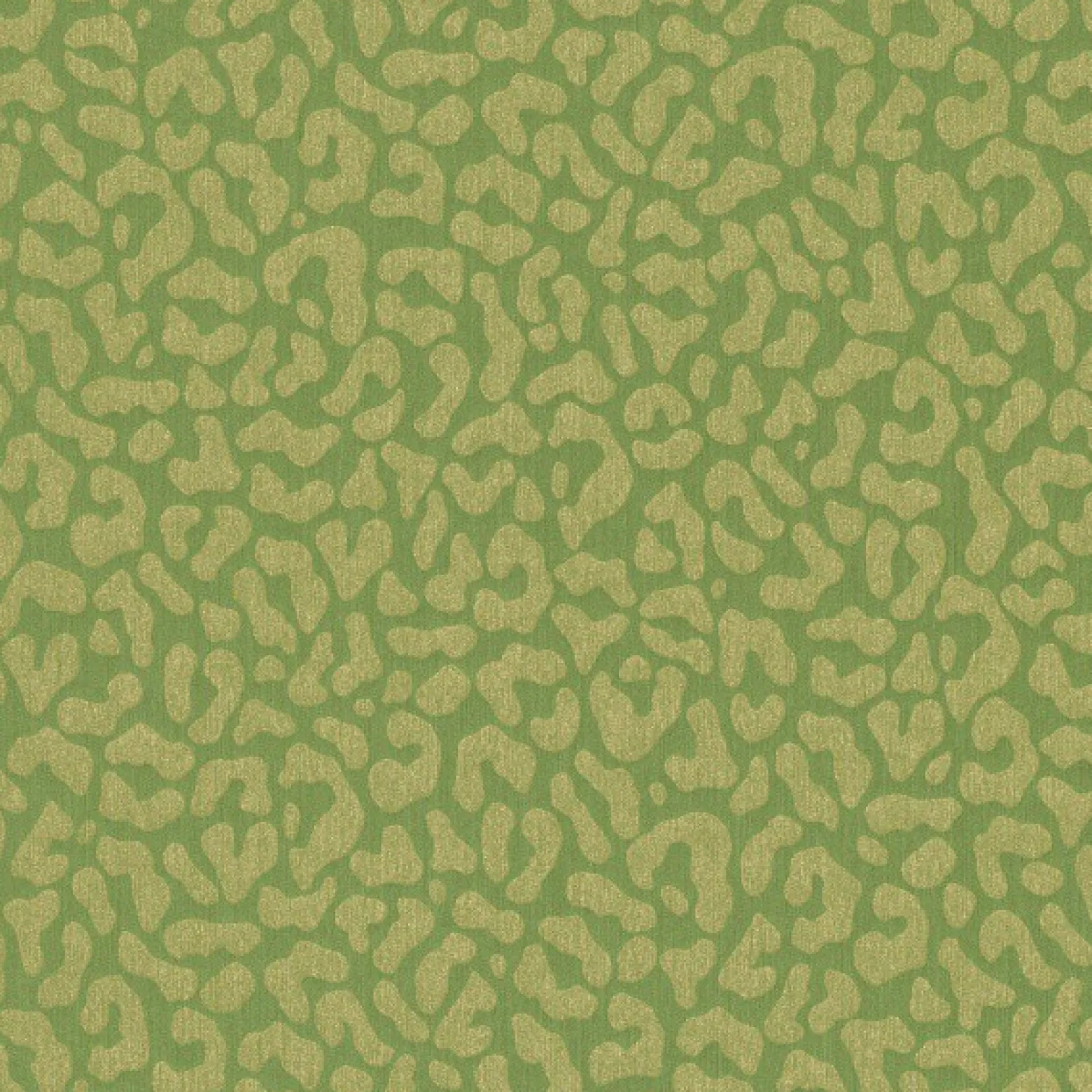 Vliestapete grün gold Grafisch Rasch Textil 077369