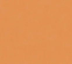 Vliestapete Kinder Uni-Design orange 38326-6