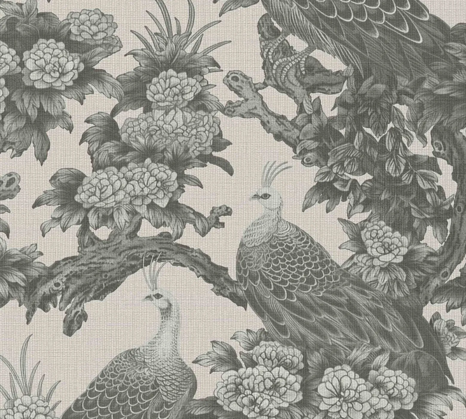 Vliestapete Michalsky Vögel Tropisch Beige Grau 39982-3