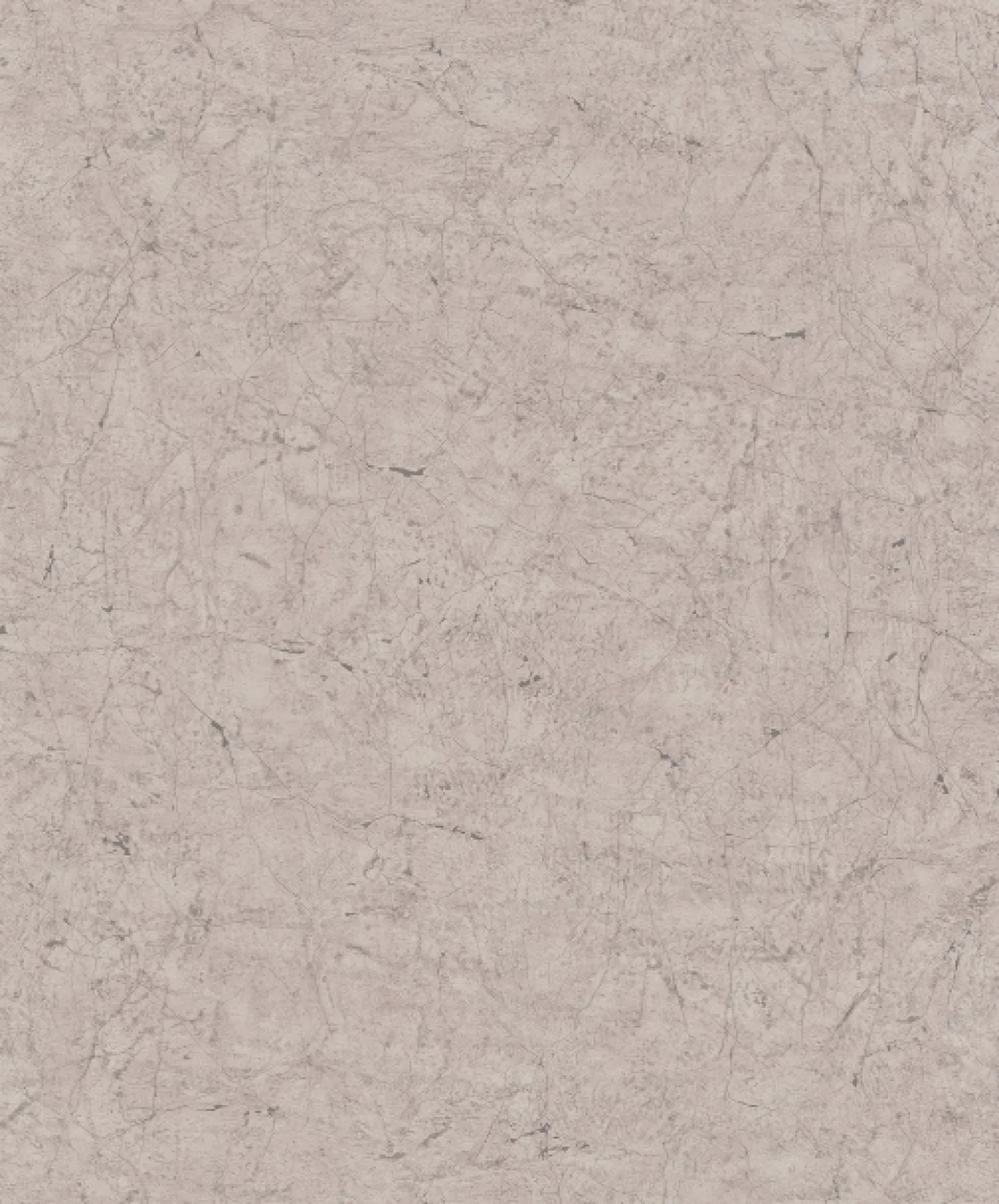 Vliestapete Putz-Optik Risse altrosa grau 32804
