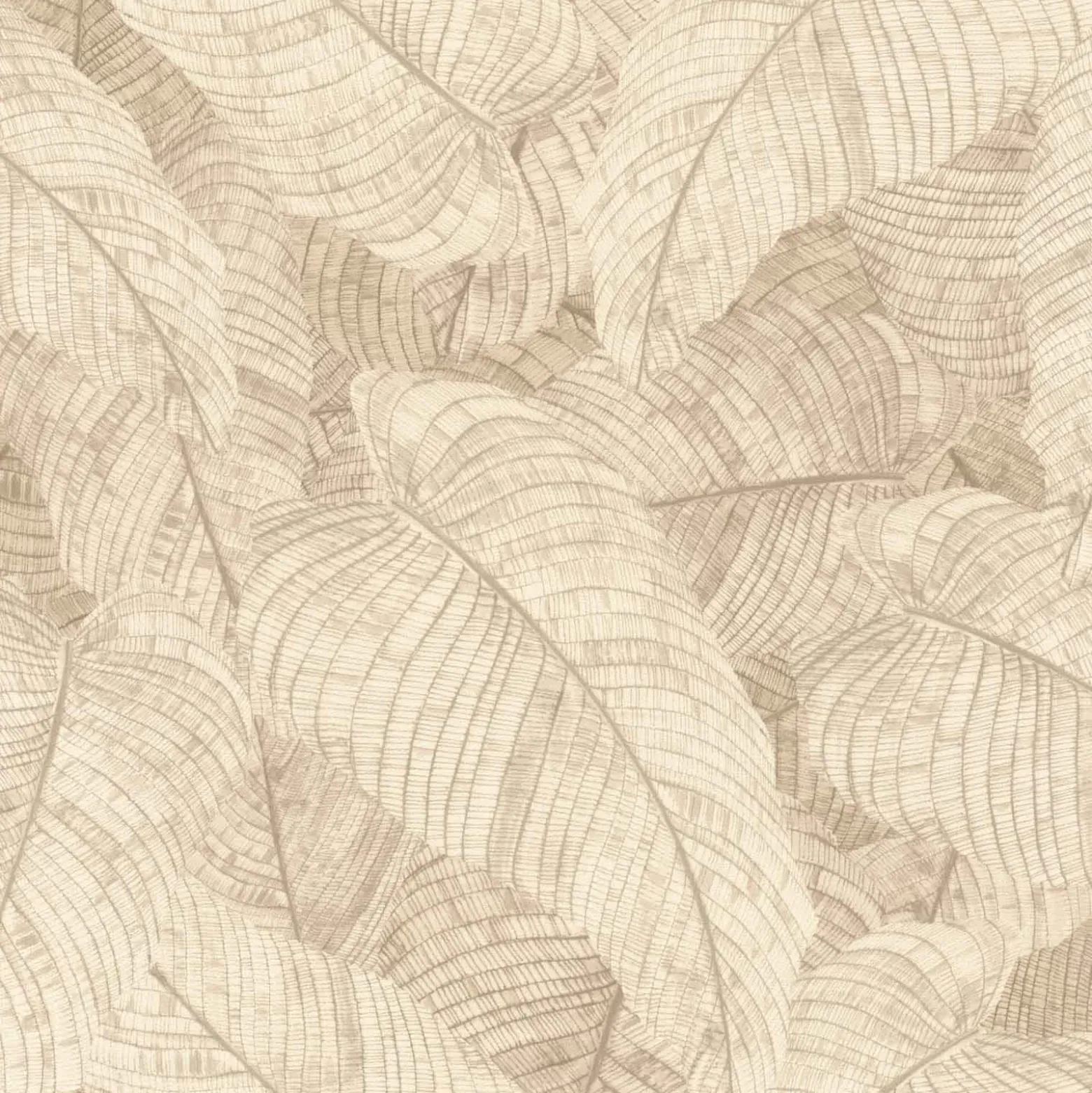 Vliestapete Rasch Blätter Floral Creme Beige 720556