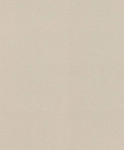 Vliestapete Rasch Einfarbig Beige Grau 555851 Lirico