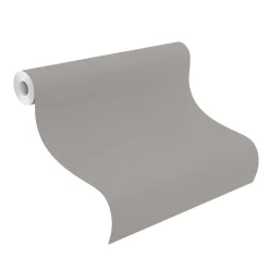Vliestapete Rasch Einfarbig Grau 555875 Lirico